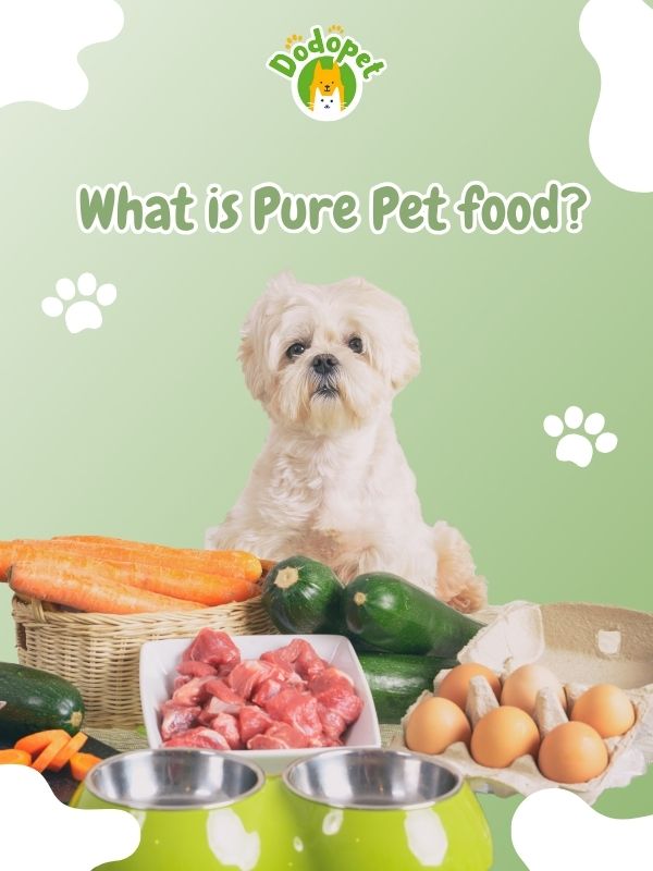 benefits-of-pure-pet-food-boost-your-pets-nutrition-1