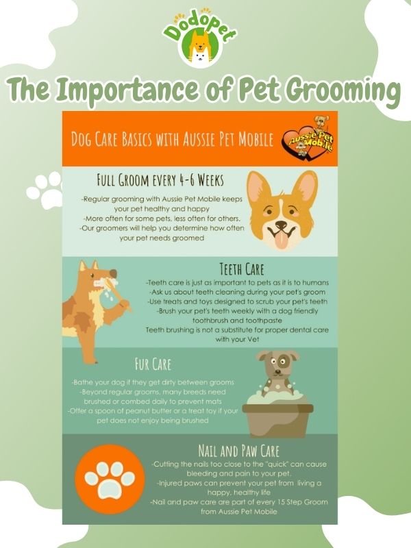 best-pet-grooming-kit-for-easy-stress-free-pampering-4