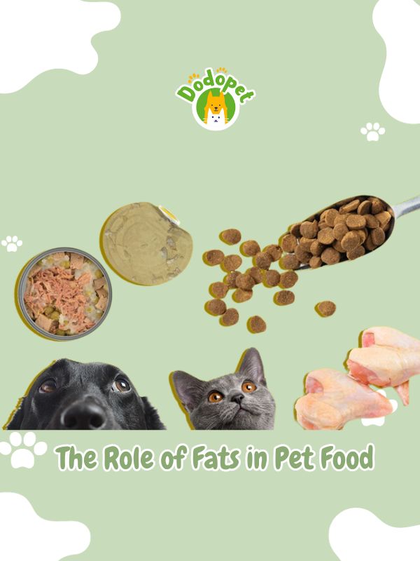pet-food-experts-6