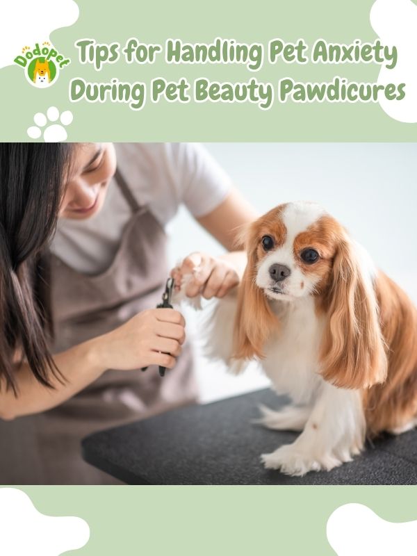 pet-pawdicures-for-pet-beauty-pretty-paws-whiskers-guide-3
