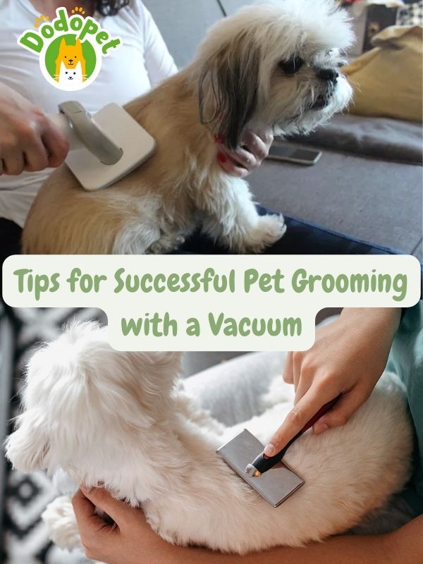 pet-grooming-vacuum-transformation-unleash-pet-beauty-2