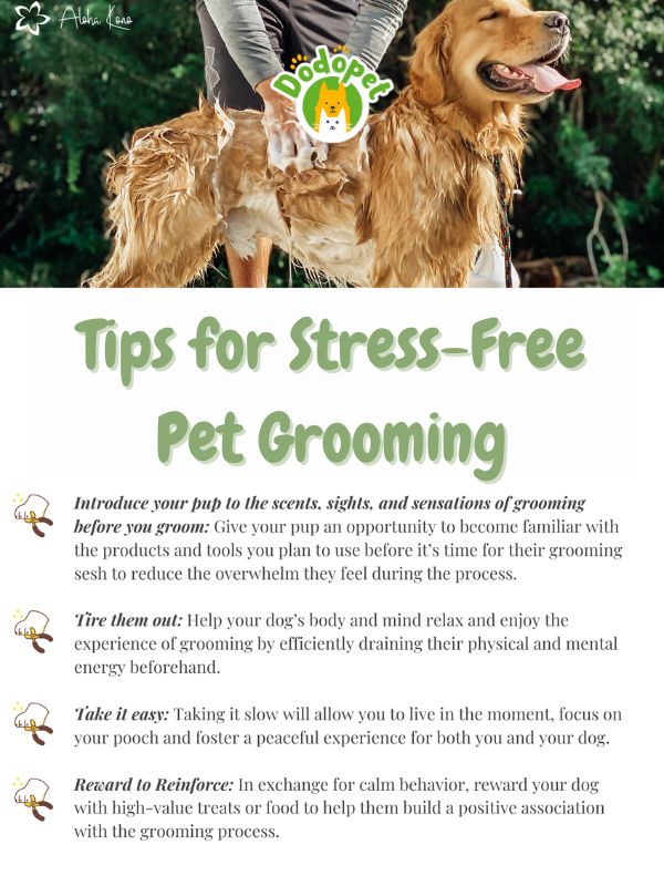 best-pet-grooming-kit-for-easy-stress-free-pampering-5