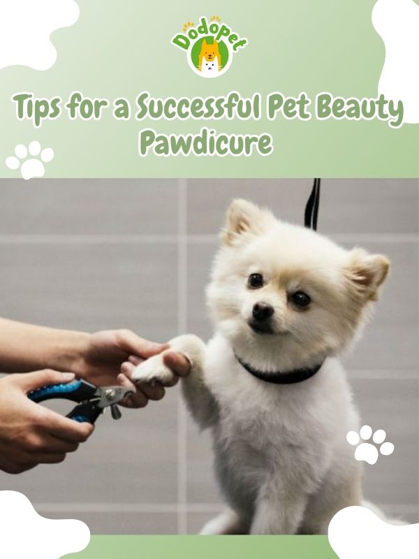 pet-pawdicures-for-pet-beauty-pretty-paws-whiskers-guide-4