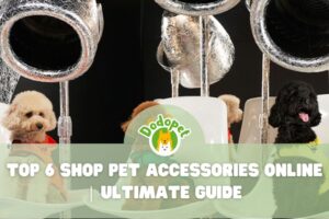 shop-pet-accessories-1