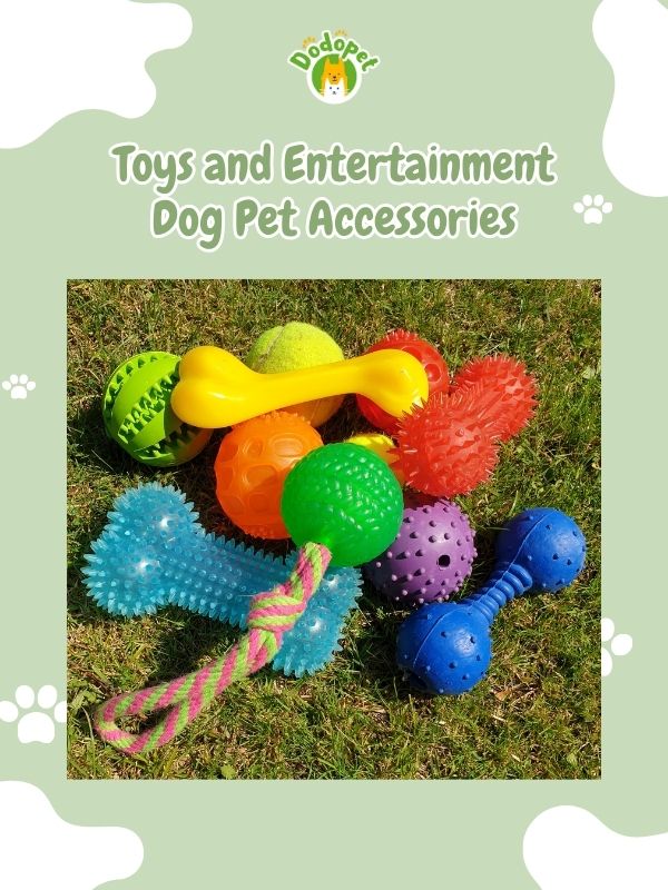 dog-pet-accessories-6