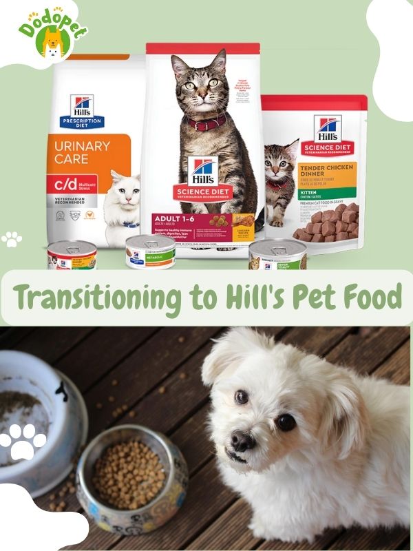 discover-hills-pet-food-key-to-happy-healthy-pets-7