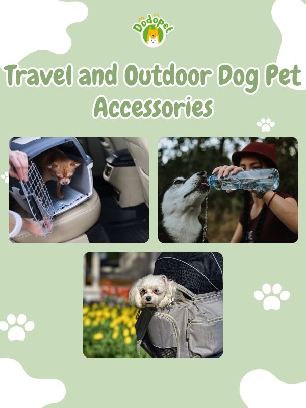 dog-pet-accessories-2