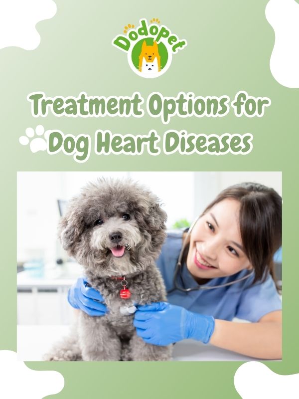 detect-prevent-dog-heart-disease-heart-to-heart-guide-3