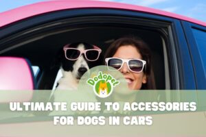ultimate-guide-to-accessories-for-dogs-in-cars-tail-wagging-rides-1
