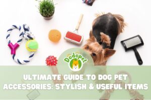 dog-pet-accessories-1