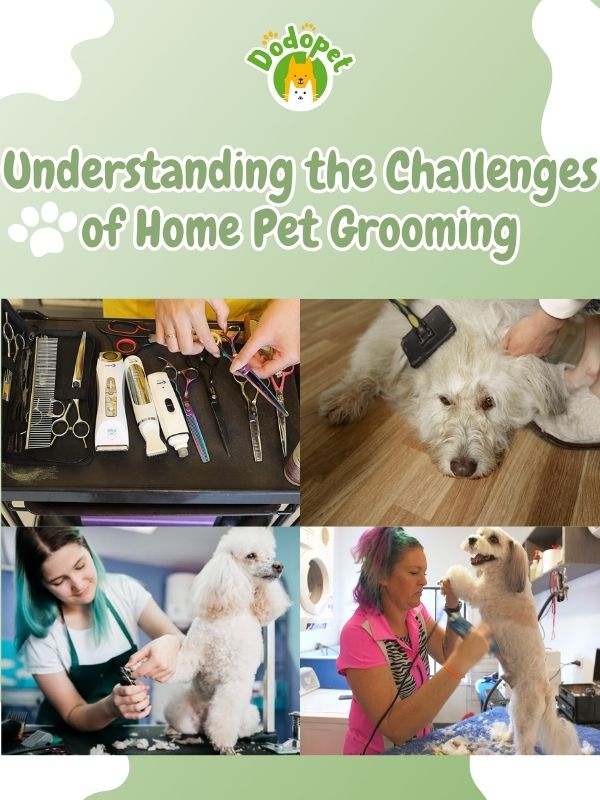 pet-grooming-home-service-7