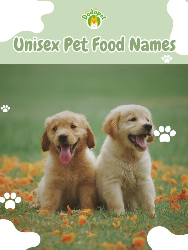 Pet-Food-Names-2