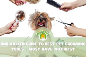 unrivalled-guide-to-best-pet-grooming-tools-must-have-checklist-1