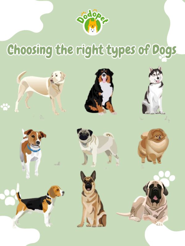 Types-of-Dogs-2