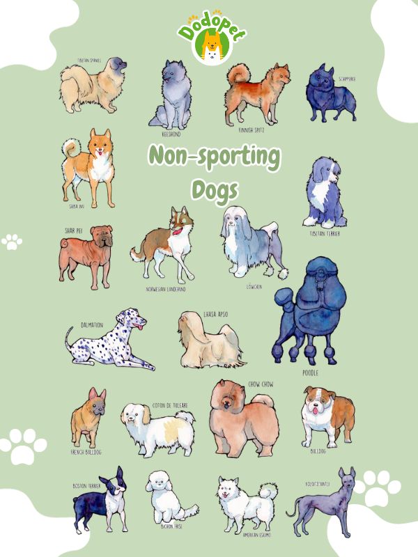 Types-of-Dogs-5