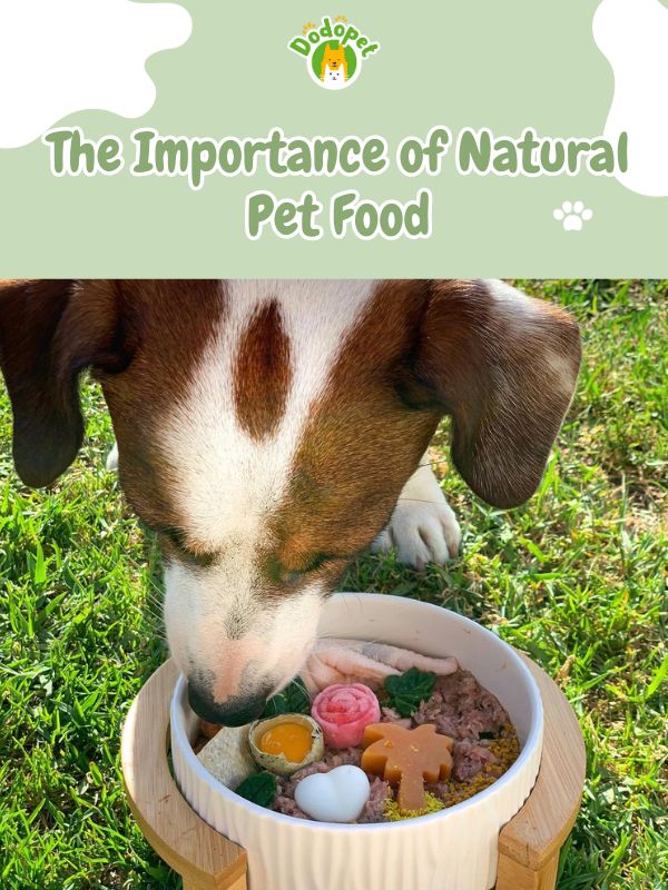 natural-pet-food-2