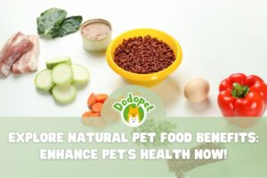 natural-pet-food-1