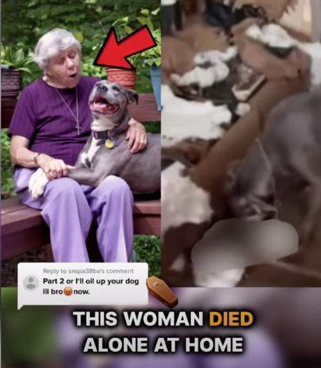 what-this-dog-did-after-its-owner-died-will-shock-you-2