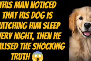 This man noticed that his dog is watching him sleep every night