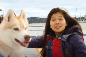 Husky Dog Adopted Stray Cat and Save Her Life